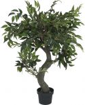 Europalms Ficus Forest Tree, 80cm Europalms Ficus Forest Tree, 80cm