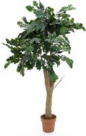 Europalms Oak tree, 160cm Europalms Oak tree, 160cm