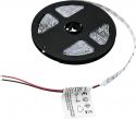 Eurolite LED Strip 300 5m 3528 6500K 12V Eurolite LED Strip 300 5m 3528 6500K 12V