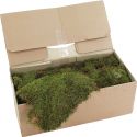 Europalms Decoration moss, ca. 1,5-2,0kg Europalms Decoration moss, ca. 1,5-2,0kg