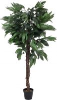 Europalms Jungle tree Mango, 150cm Europalms Jungle tree Mango, 150cm