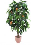 Europalms Mango tree with fruits, 165cm Europalms Mango tree with fruits, 165cm