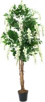 Europalms Wisteria, white, 150cm Europalms Wisteria, white, 150cm