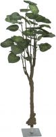 Europalms Pothos tree, 175cm Europalms Pothos tree, 175cm