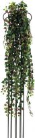 Europalms Deluxe ivy tendril, green-red 160cm Europalms Deluxe ivy tendril, green-red 160cm