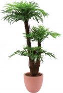 Europalms Areca palm with palm fiber trunk, 120cm Europalms Areca palm with palm fiber trunk, 120cm