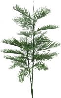 Europalms Kentia palm tree, 150cm Europalms Kentia palm tree, 150cm