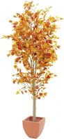 Europalms Autumn tree, 180cm Europalms Autumn tree, 180cm