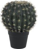 Europalms Barrel Cactus, 34cm Europalms Barrel Cactus, 34cm