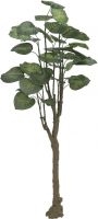 Europalms Pothos tree, 150cm Europalms Pothos tree, 150cm