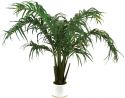 Europalms Coconut bush, 230cm Europalms Coconut bush, 230cm