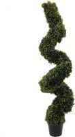 Europalms Boxwood Spiral, 120cm Europalms Boxwood Spiral, 120cm