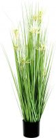 Europalms Star grass, 105cm Europalms Star grass, 105cm