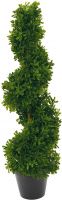 Europalms Spiral Tree, 61cm Europalms Spiral Tree, 61cm
