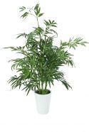 Europalms Bambus Luxor, 220cm Europalms Bambus Luxor, 220cm