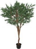 Europalms Kæmpe Oliventræ , 250cm Europalms Kæmpe Oliventræ , 250cm