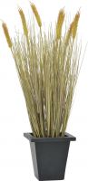 Europalms Wheat ready to harvest 60cm Europalms Wheat ready to harvest 60cm