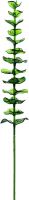 Europalms Crystal eucalyptus, green 81cm 12x Europalms Crystal eucalyptus, green 81cm 12x