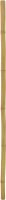 Europalms Bamboo tube, Europalms Bamboo tube,