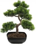 Europalms Pine bonsai, 50cm Europalms Pine bonsai, 50cm
