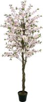 Europalms Cherry tree with 4 trunks, pink, 180 cm Europalms Cherry tree with 4 trunks, pink, 180 cm