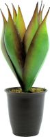 Europalms Lotus plant, 34cm Europalms Lotus plant, 34cm