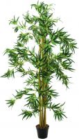 Europalms Bamboo multi trunk, 150cm Europalms Bamboo multi trunk, 150cm
