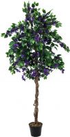 Europalms Bougainvillea, lavender, 150cm Europalms Bougainvillea, lavender, 150cm