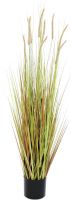 Europalms Fountain grass bush, 120cm Europalms Fountain grass bush, 120cm
