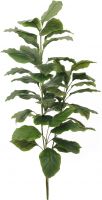 Europalms Evergreen, 3 branches, 150cm Europalms Evergreen, 3 branches, 150cm