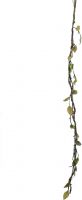 Europalms Heather twine, with LEDs, white, 180cm Europalms Heather twine, with LEDs, white, 180cm