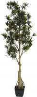 Europalms Podocarpus tree, 150cm Europalms Podocarpus tree, 150cm