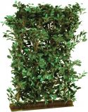 Europalms Ficus Hedge, 90x130cm Europalms Ficus Hedge, 90x130cm