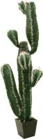 Europalms Mexican cactus, 170cm Europalms Mexican cactus, 170cm