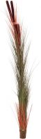 Europalms Reed grass w/ cattails, light-brown,152cm Europalms Reed grass w/ cattails, light-brown,152cm