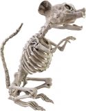 Europalms Halloween Skeleton Rat, 32x10x16cm Europalms Halloween Skeleton Rat, 32x10x16cm