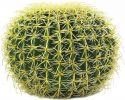 Europalms Barrel Cactus, 37cm Europalms Barrel Cactus, 37cm