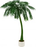 Europalms Palm, 1 trunk, 300cm, green Europalms Palm, 1 trunk, 300cm, green