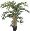 Europalms Kentia palm tree, 140cm Europalms Kentia palm tree, 140cm