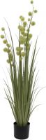 Europalms Allium Grass, 122cm Europalms Allium Grass, 122cm