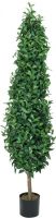 Europalms Laurel Cone Tree, 180cm Europalms Laurel Cone Tree, 180cm