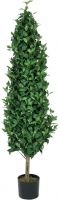 Europalms Laurel Cone Tree, 150cm Europalms Laurel Cone Tree, 150cm