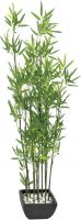 Europalms Bamboo in Bowl, 120cm Europalms Bamboo in Bowl, 120cm