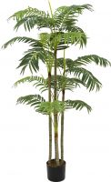 Europalms Areca palm, 180cm Europalms Areca palm, 180cm