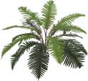 Europalms Sword Fern, 70cm Europalms Sword Fern, 70cm