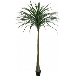 Europalms Dracena, green, artificial, 220cm TILBUD NU