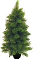 Europalms Mini fir tree, 90cm Europalms Mini fir tree, 90cm