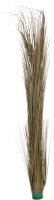 Europalms Reed grass, khaki, 127cm Europalms Reed grass, khaki, 127cm