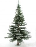 Europalms Fir tree, snow-flocked, 240cm Europalms Fir tree, snow-flocked, 240cm
