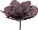 Europalms Giant Flower (EVA), old rose, 80cm Europalms Giant Flower (EVA), old rose, 80cm